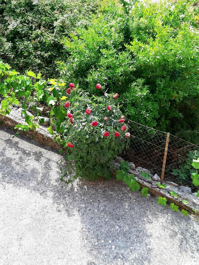 Apartments Parapid Budva Luaran gambar